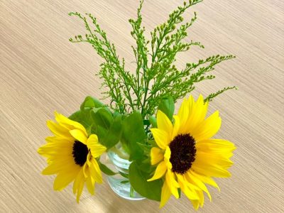 暑い夏を元気に過ごすために、適切な水分補給で熱中症を予防しよう🥛🧋 ぶどうの木 デイサービス from Instagram
