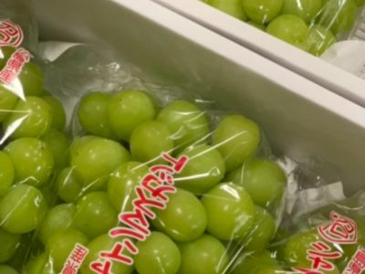 先日、「ぶどうの木のみなさんへ」と広島からたくさんのマスカットたくさん頂きました。ご利用者様も「美味しい」と大喜びでした。ありがとうございました‍♂️ ぶどうの木 デイサービス from Instagram