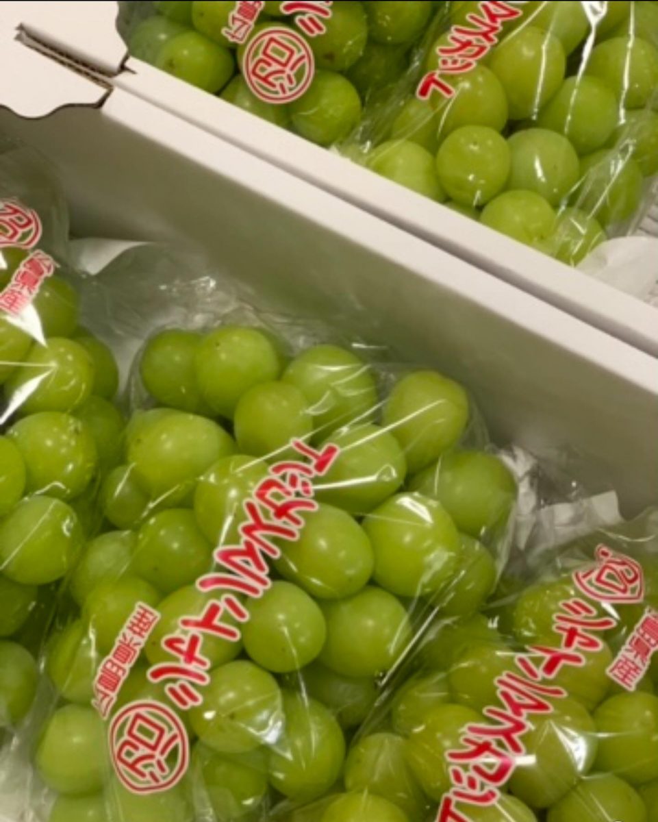 先日、「ぶどうの木のみなさんへ」と広島からたくさんのマスカットたくさん頂きました。ご利用者様も「美味しい」と大喜びでした。ありがとうございました‍♂️ ぶどうの木 デイサービス from Instagram